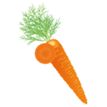 carotte biogummies vitaflor